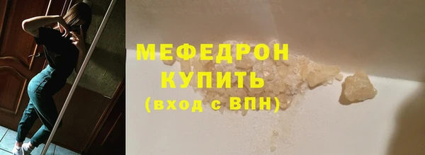 индика Вяземский