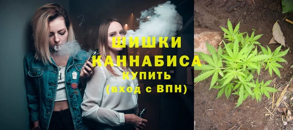 индика Вяземский